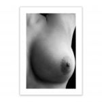 supple nude erotic wall art prints posters