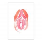 vida nude erotic wall art prints posters