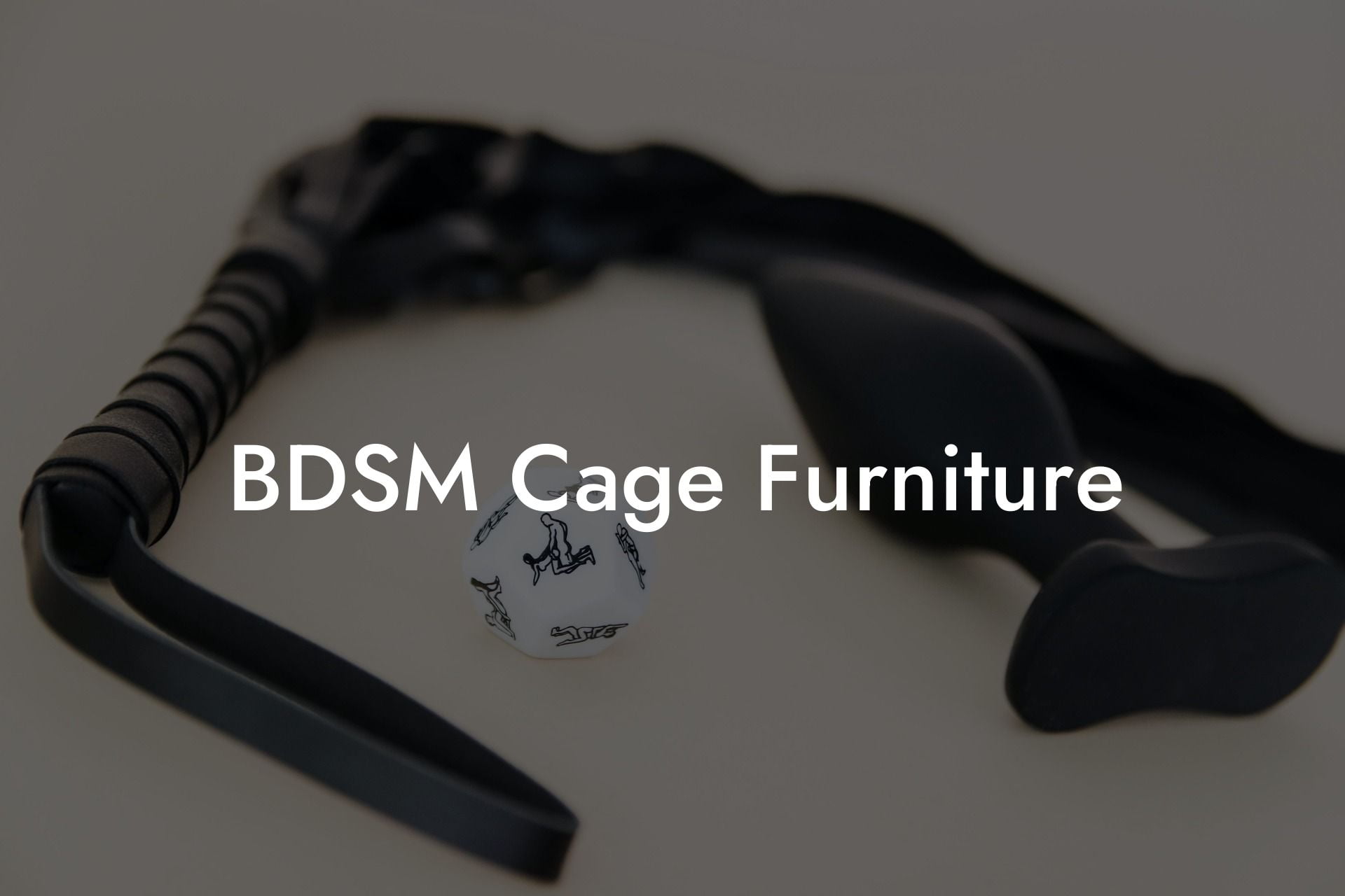 BDSM Cage Furniture