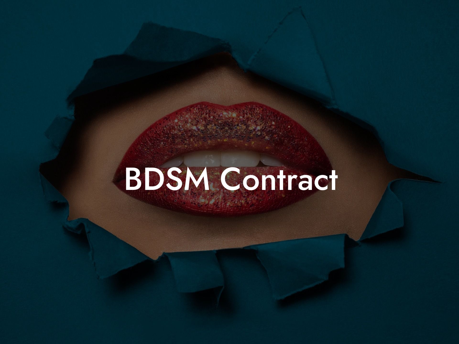 BDSM Contract