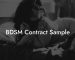 BDSM Contract Sample