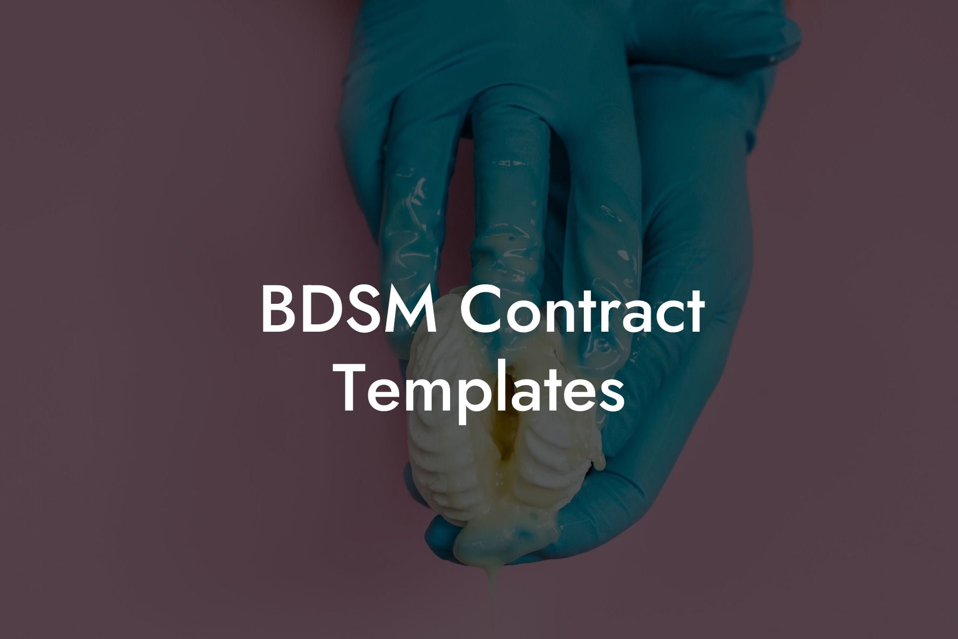 BDSM Contract Templates