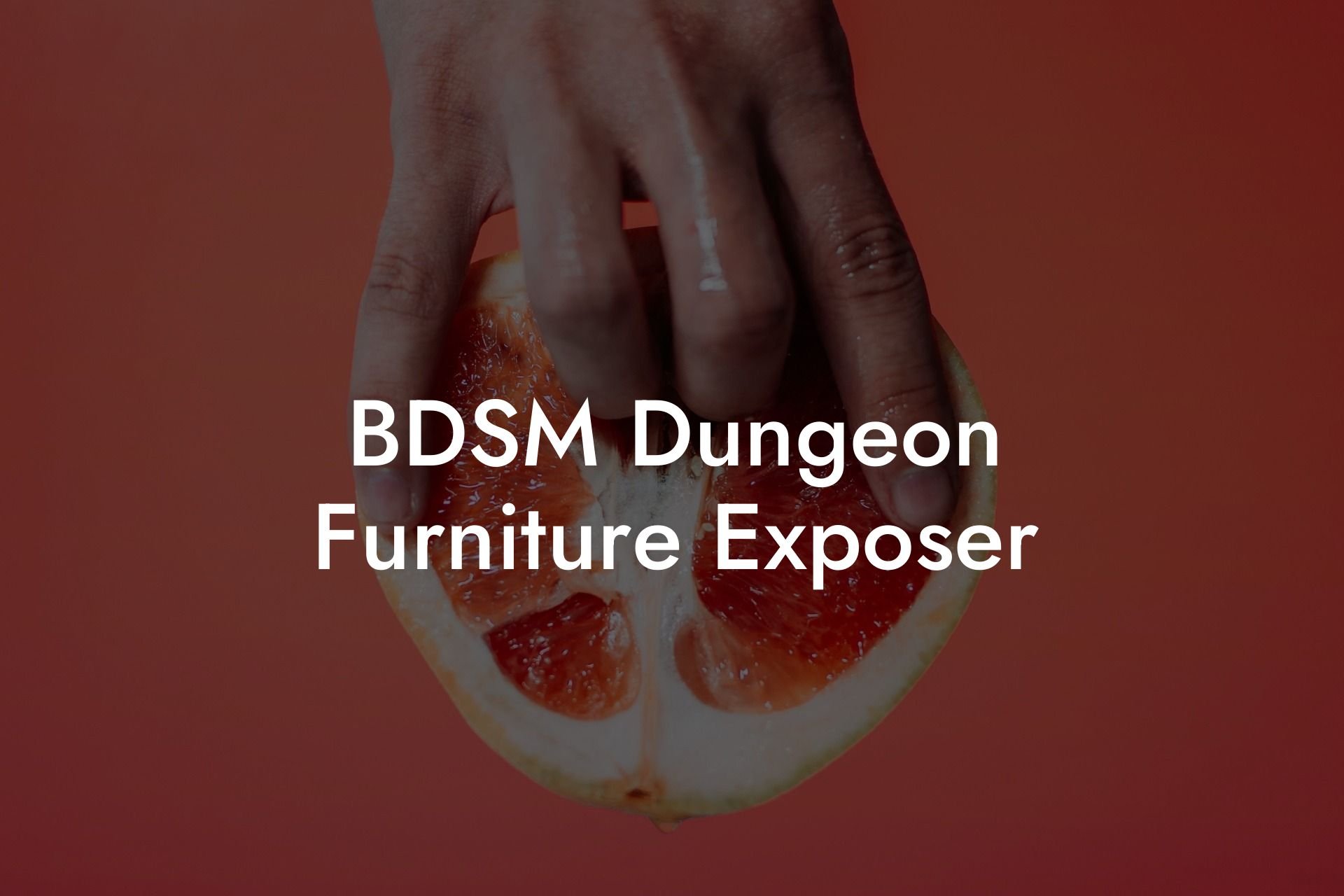 BDSM Dungeon Furniture Exposer