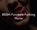 BDSM Furniture Fucking Horse