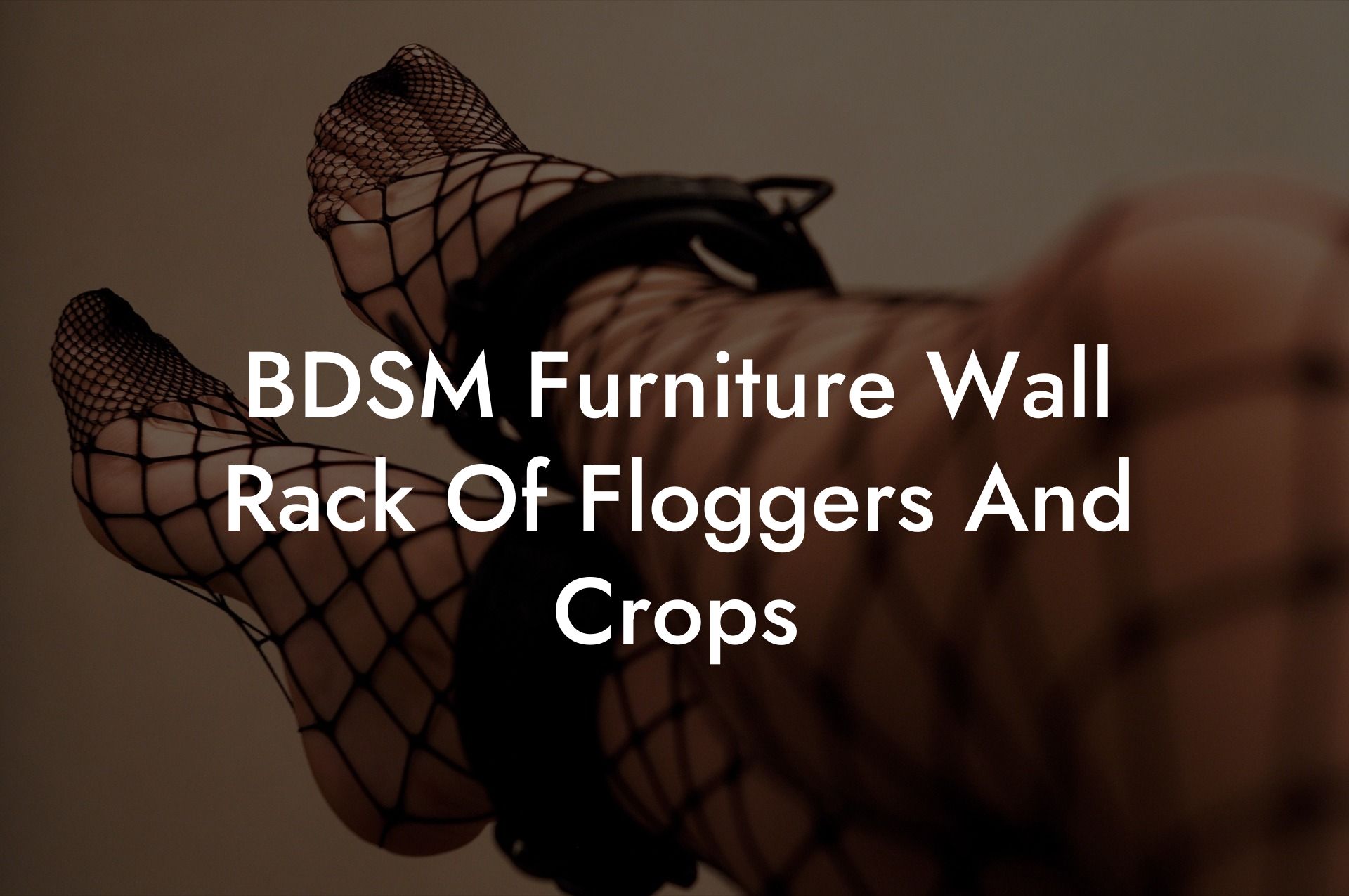 BDSM Furniture Wall Rack Of Floggers And Crops