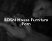 BDSM House Furniture Porn