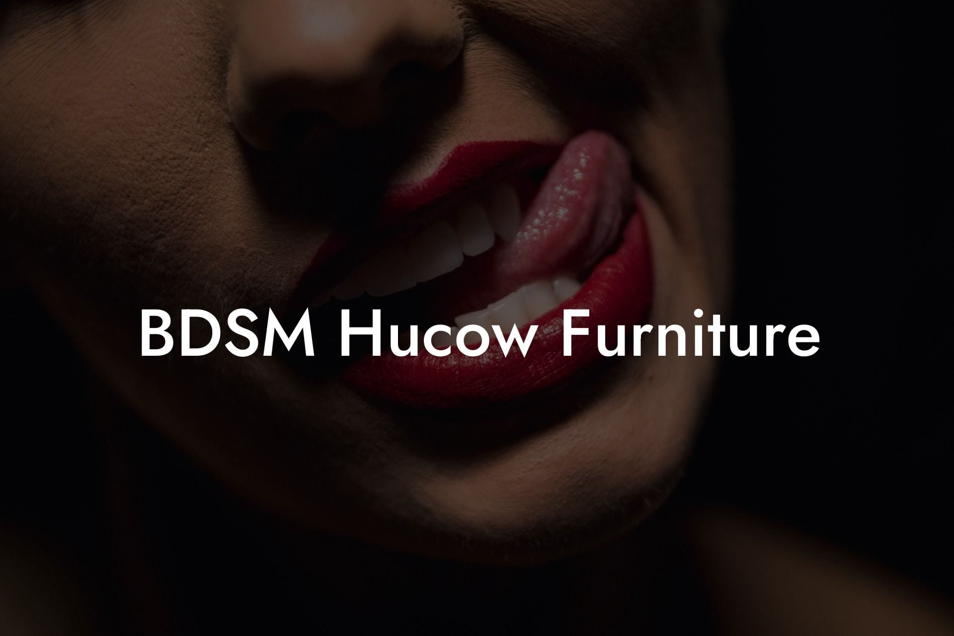 BDSM Hucow Furniture