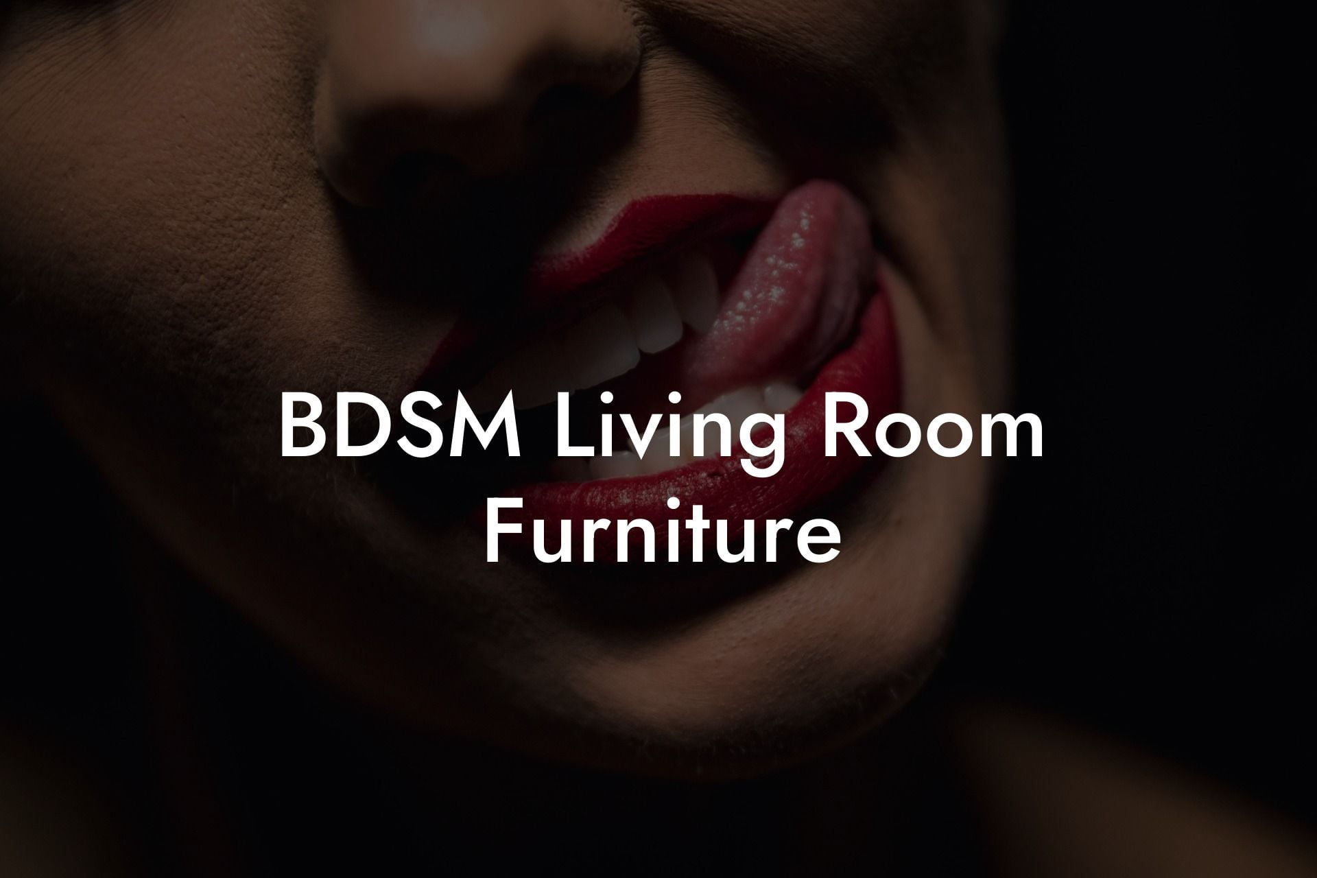 BDSM Living Room Furniture