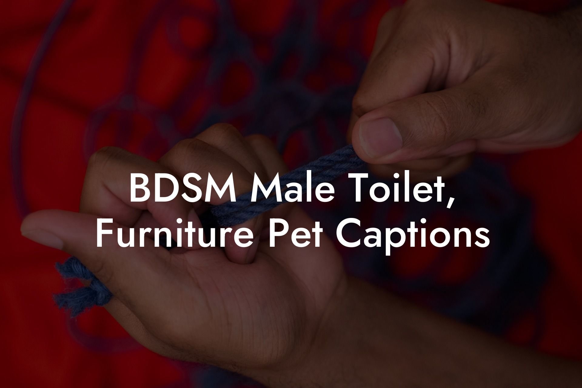 BDSM Male Toilet, Furniture Pet Captions