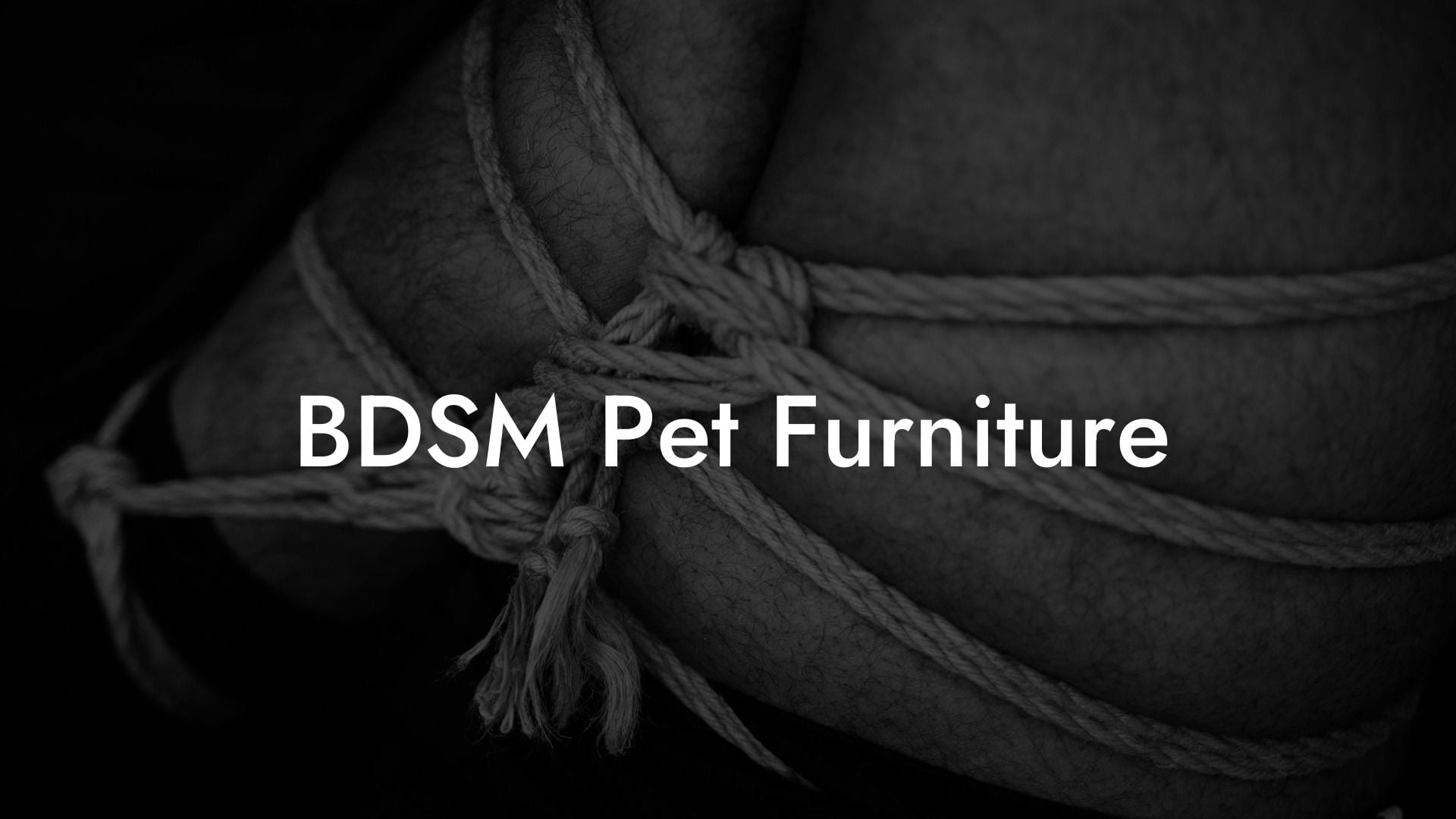 BDSM Pet Furniture
