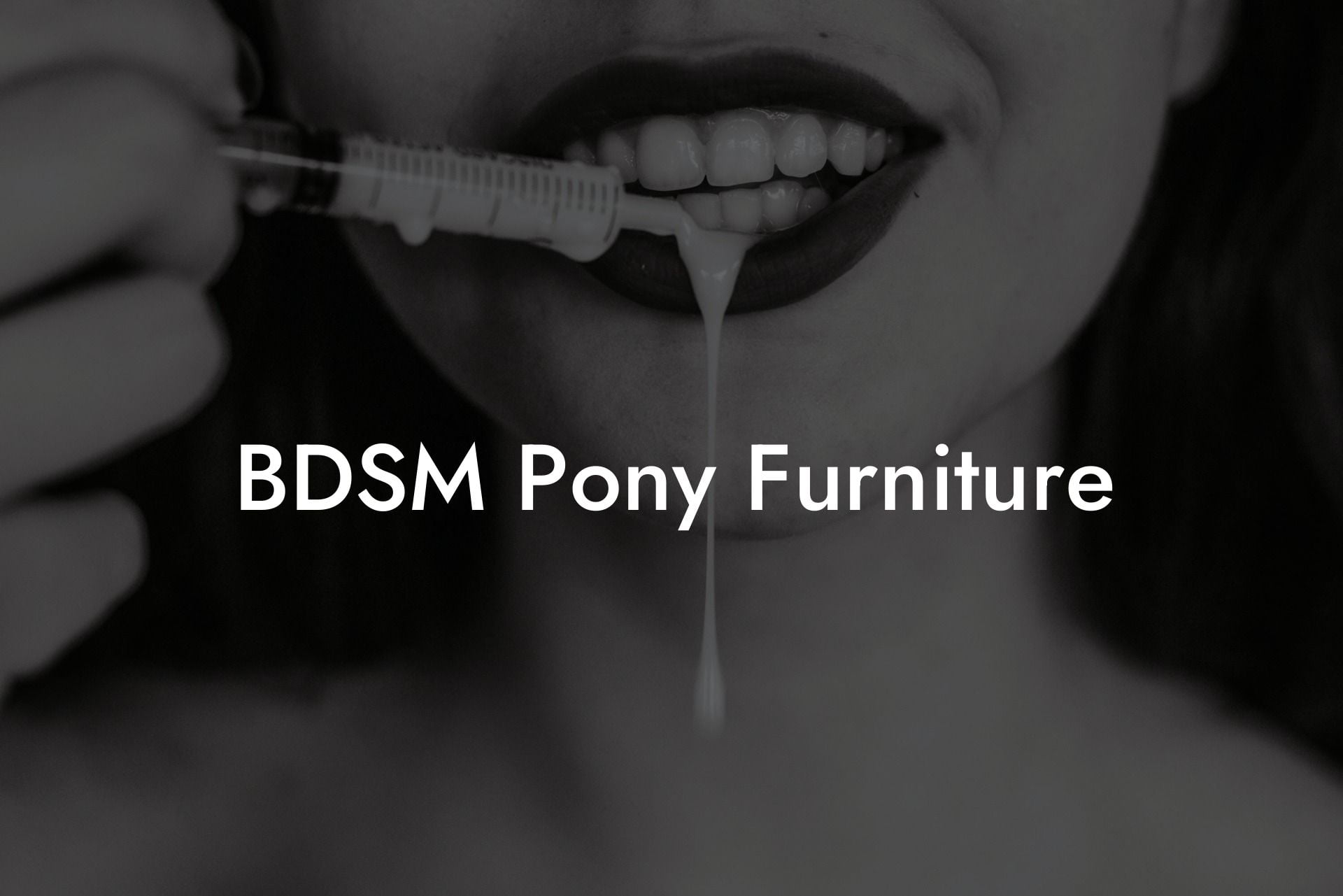 BDSM Pony Furniture