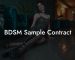 BDSM Sample Contract