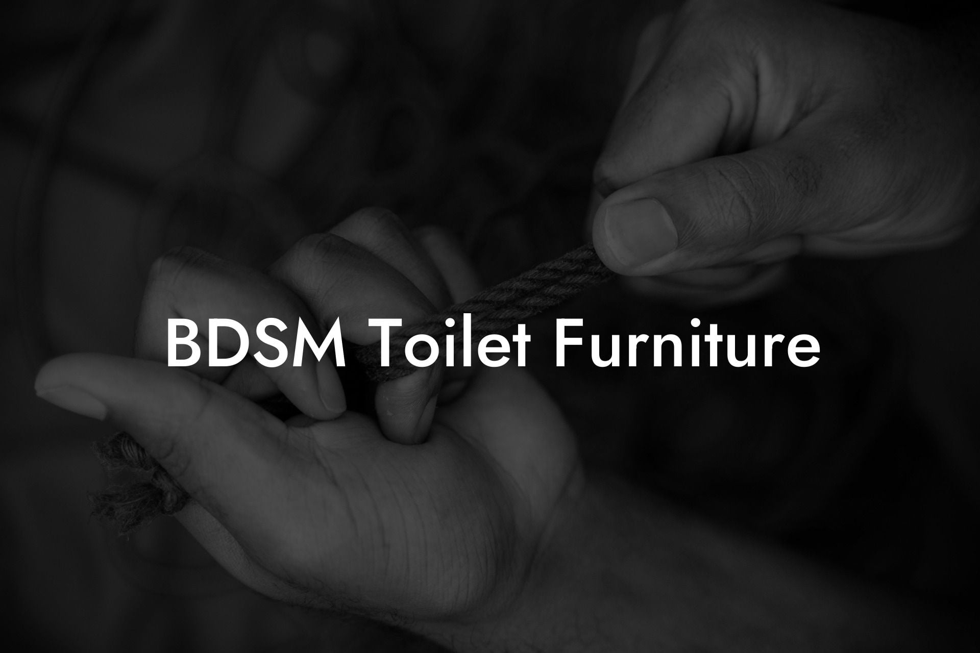 BDSM Toilet Furniture
