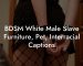 BDSM White Male Slave Furniture, Pet, Interracial Captions