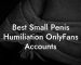 Best Small Penis Humiliation OnlyFans Accounts