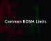 Common BDSM Limits