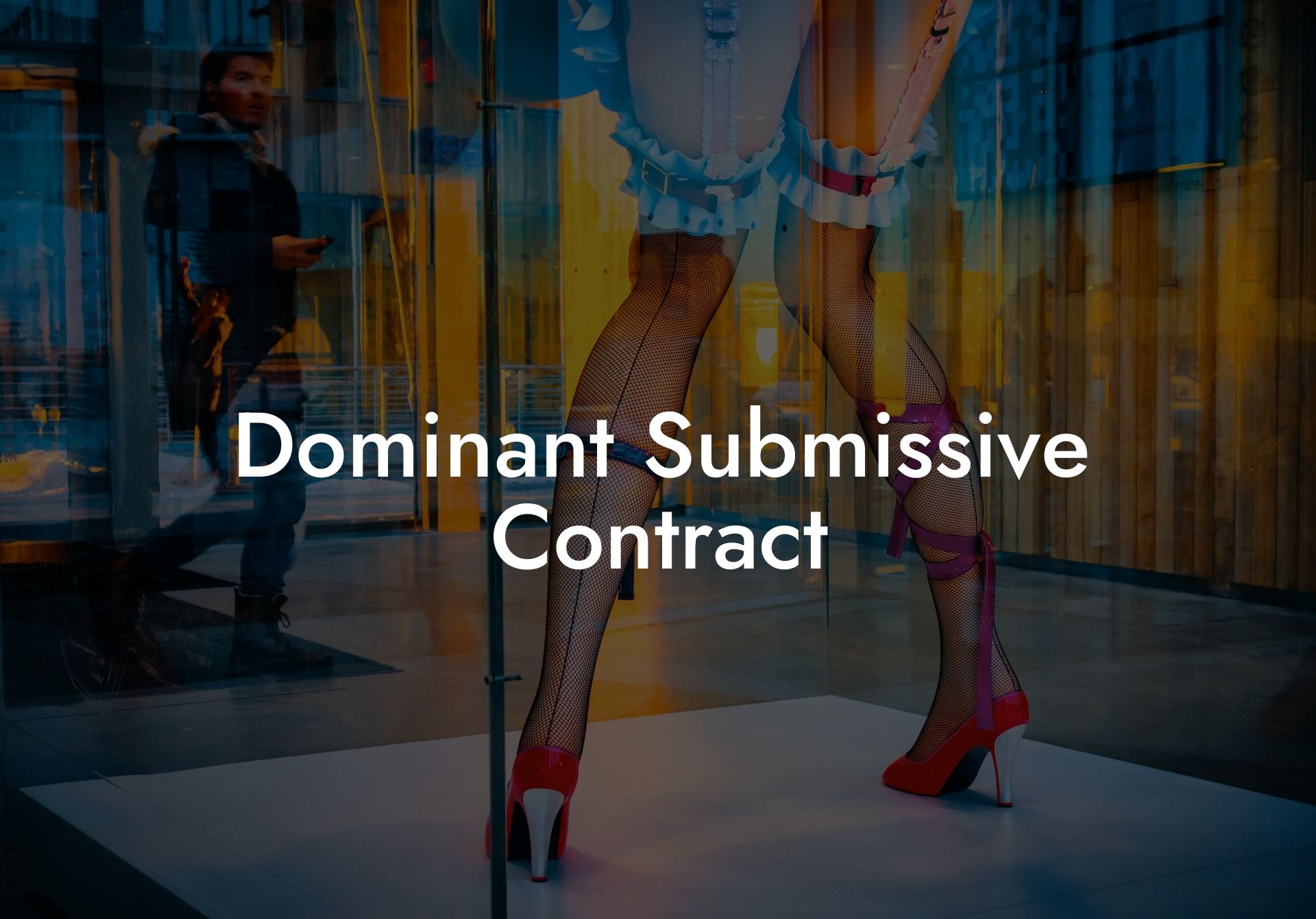 Dominant Submissive Contract