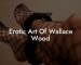 Erotic Art Of Wallace Wood