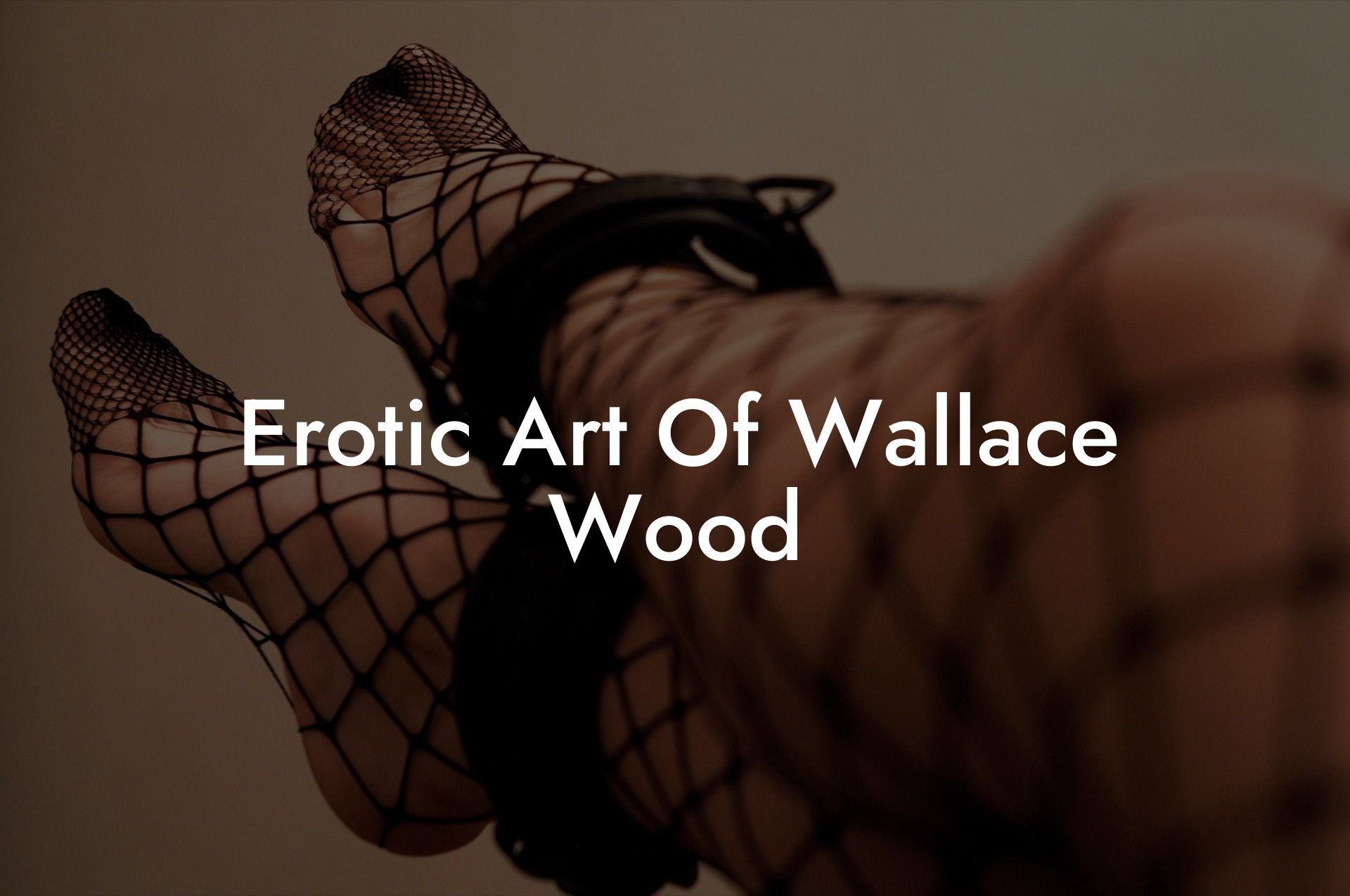 Erotic Art Of Wallace Wood