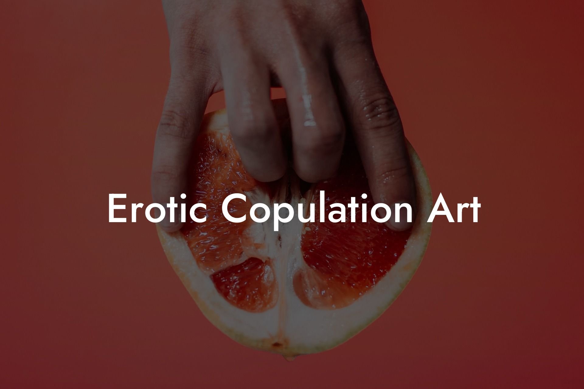 Erotic Copulation Art