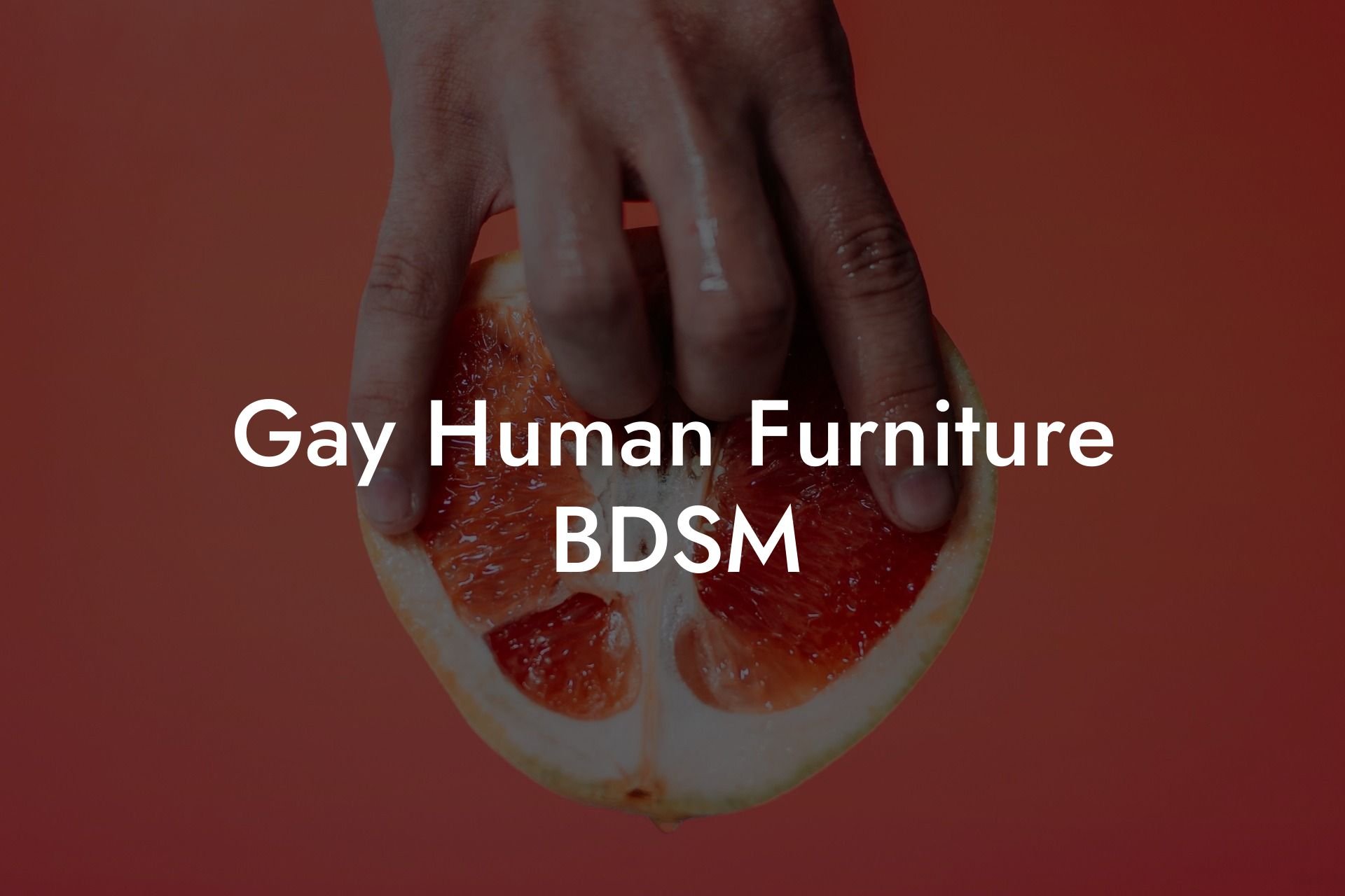 Gay Human Furniture BDSM