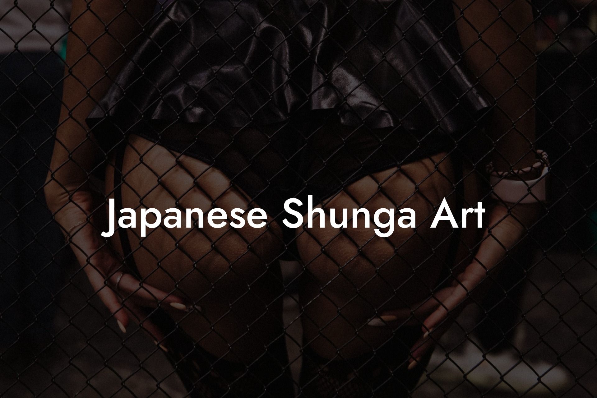 Japanese Shunga Art