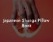 Japanese Shunga Pillow Book
