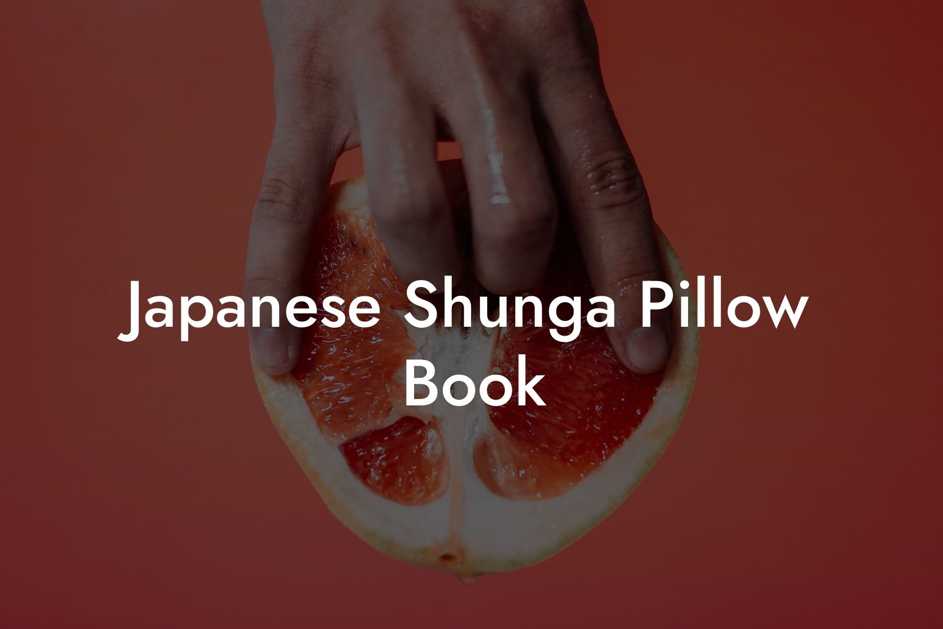 Japanese Shunga Pillow Book