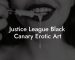 Justice League Black Canary Erotic Art