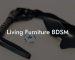 Living Furniture BDSM