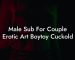 Male Sub For Couple Erotic Art Boytoy Cuckold