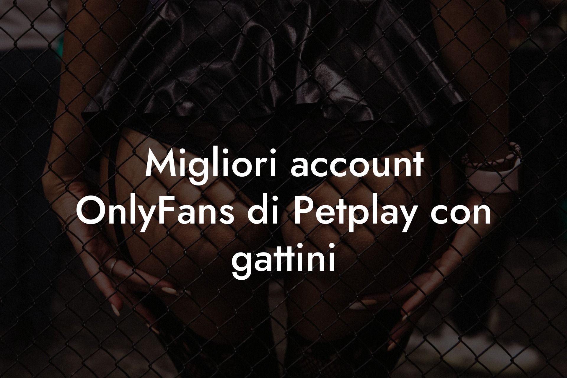 Migliori account OnlyFans di Petplay con gattini