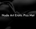 Nude Art Erotic Pics Met