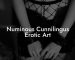 Numinous Cunnilingus Erotic Art