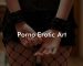Porno Erotic Art