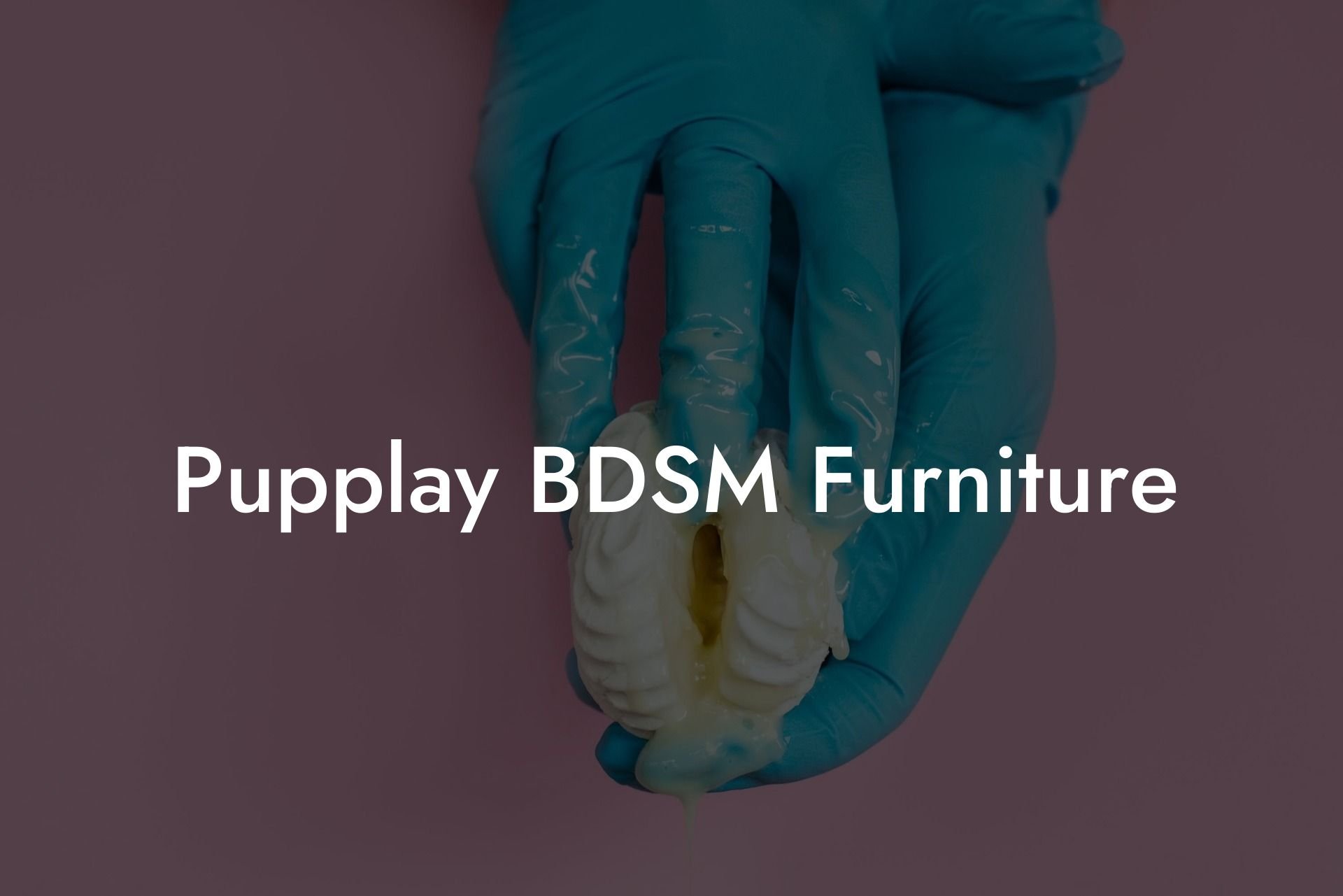 Pupplay BDSM Furniture