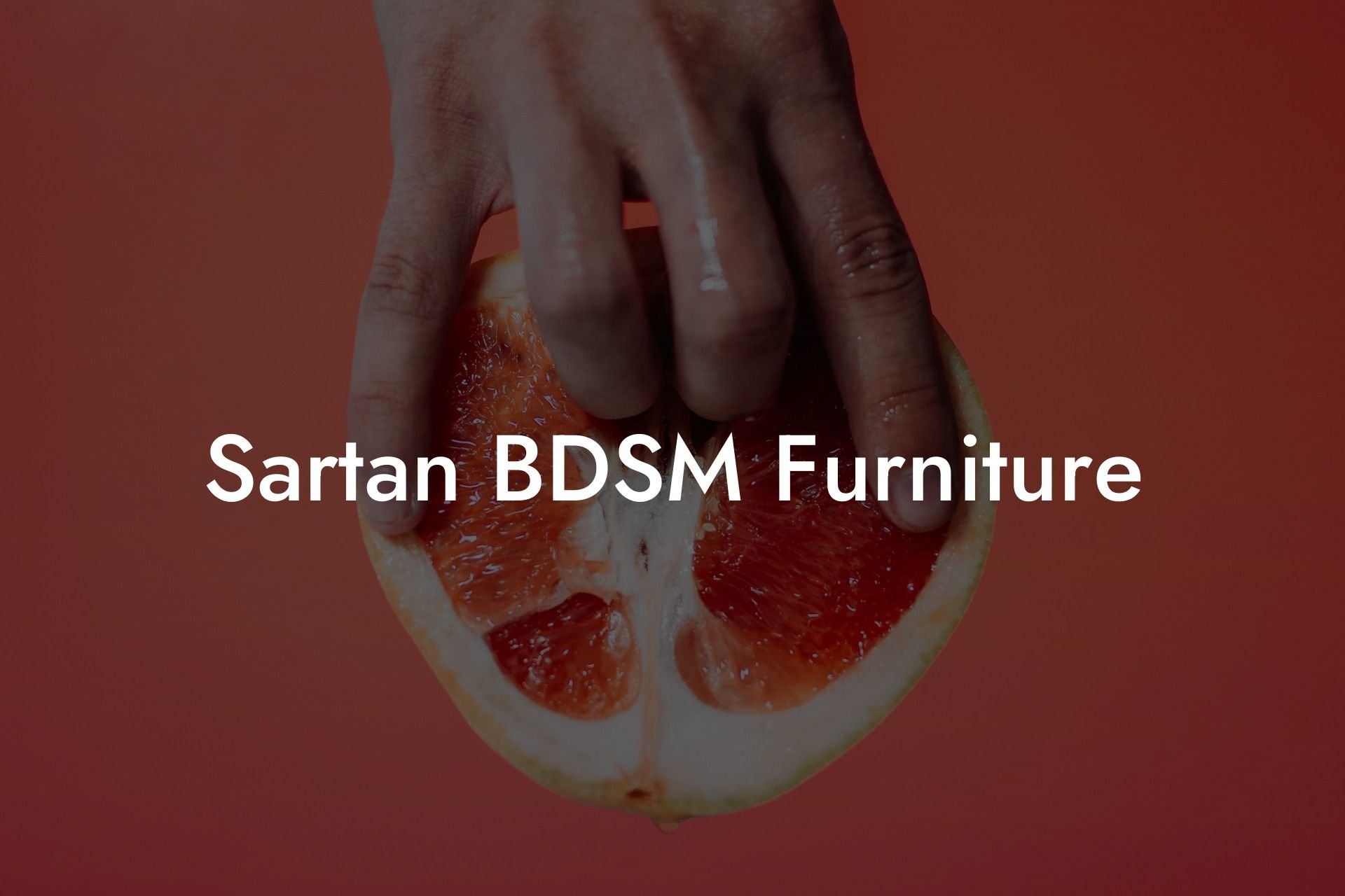 Sartan BDSM Furniture