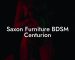 Saxon Furniture BDSM Centurion