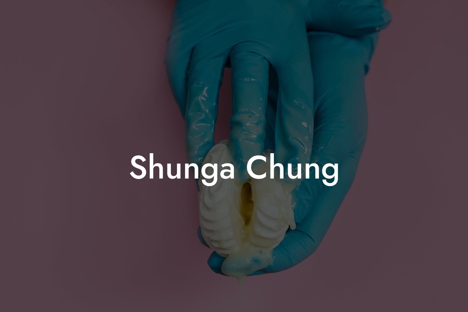 Shunga Chung