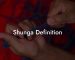 Shunga Definition