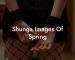 Shunga Images Of Spring