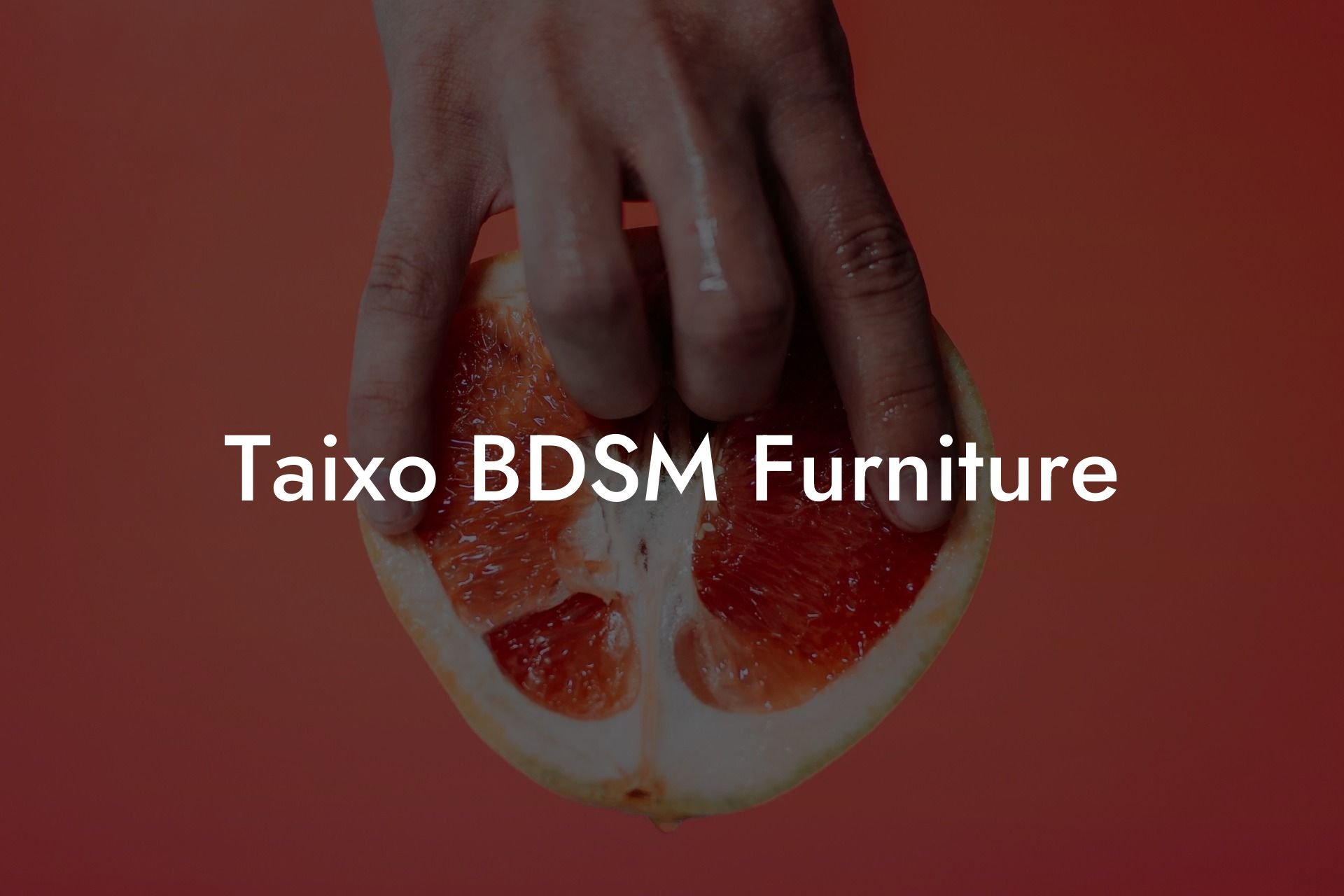 Taixo BDSM Furniture