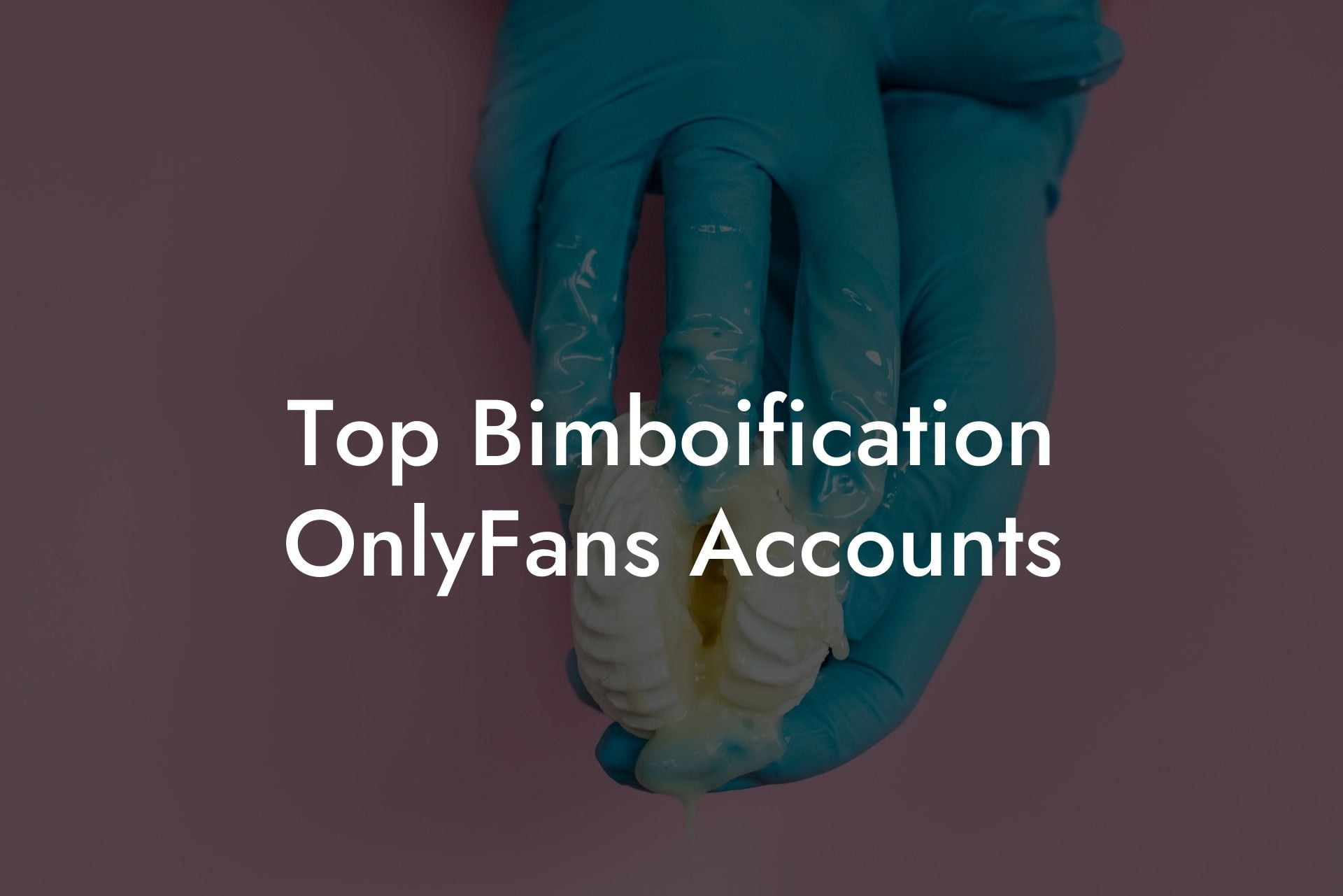 Top Bimboification OnlyFans Accounts