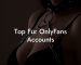 Top Fur OnlyFans Accounts