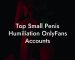 Top Small Penis Humiliation OnlyFans Accounts