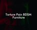 Torture Pain BDSM Furniture