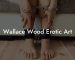 Wallace Wood Erotic Art