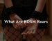 What Are BDSM Bears