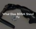 What Dies BDSM Stand Fir