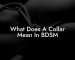 What Does A Collar Mean In BDSM